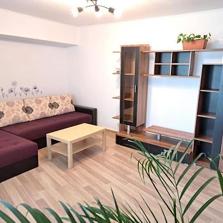 Apartament Titulescu/Banu Manta Lejlighed Bukarest Eksteriør billede